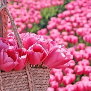 Private Drunk Elephant Bundle For @myreplayvanity